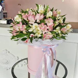 Flowerbox “Alstromeria”