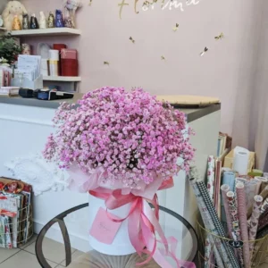 Цветочный ящик "Гипсофила розовая"