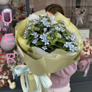 Букет #8 с оксипеталлумами (незабудками)