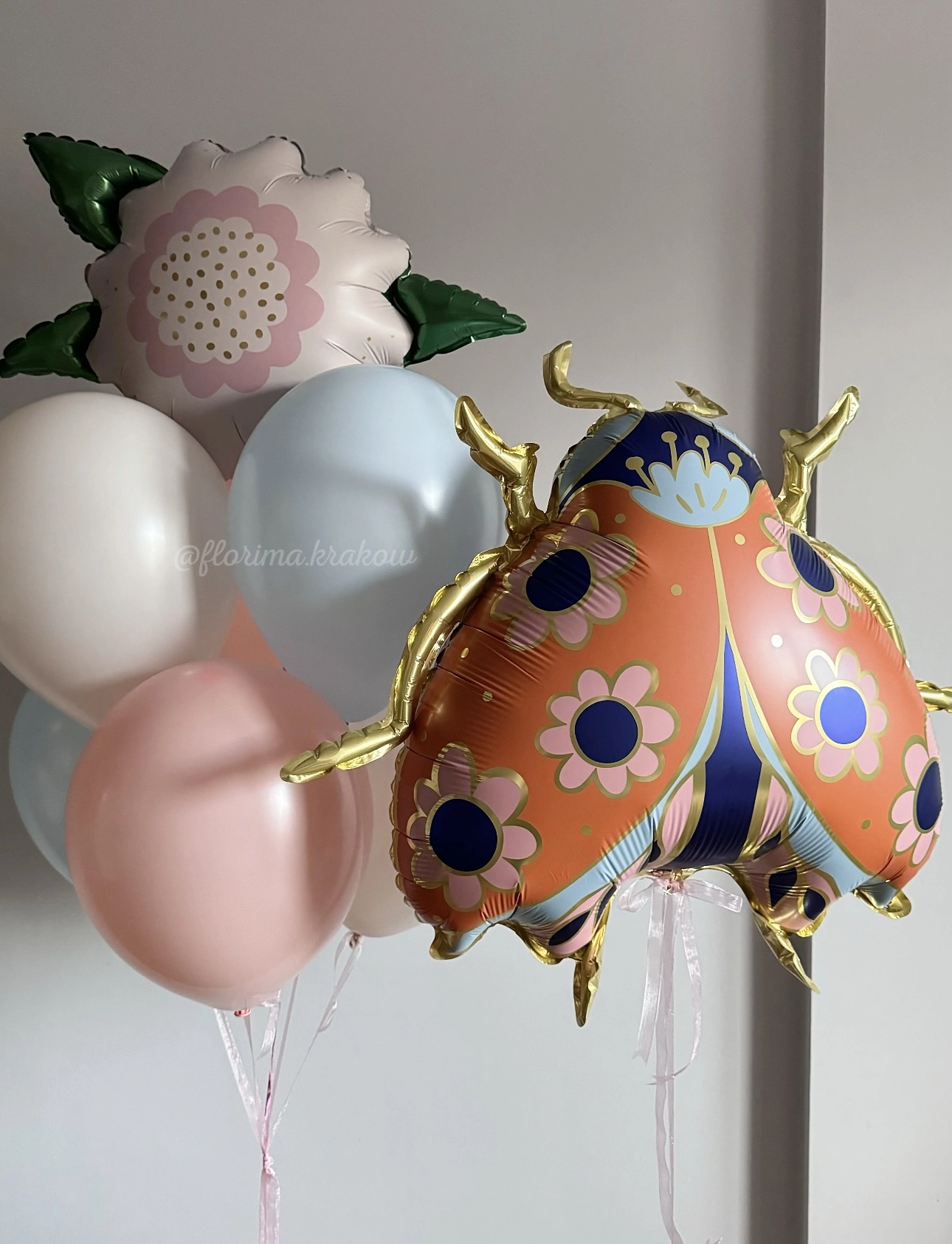 Набор воздушных шаров #214 с шаром «Божья коровка»