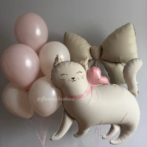 Набор воздушных шаров #333 с котом
